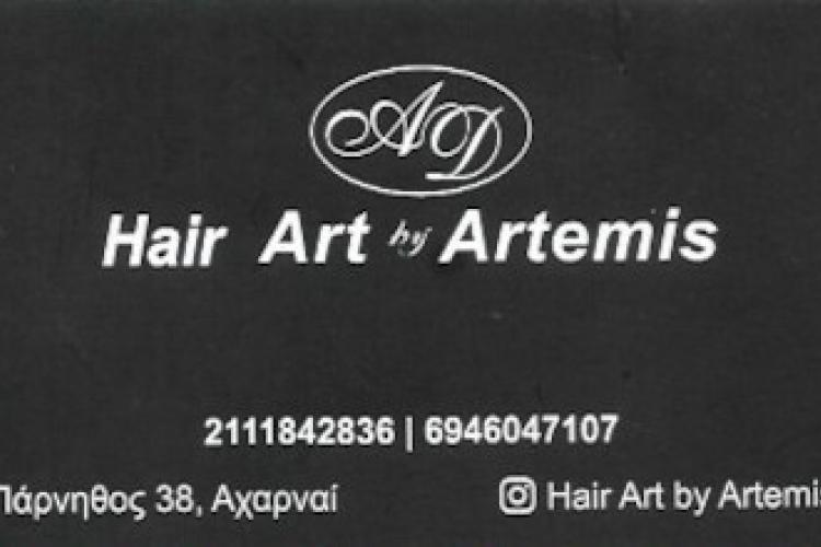 Hair Art by Artemis